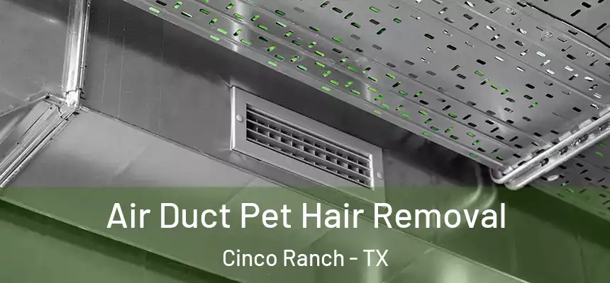  Air Duct Pet Hair Removal Cinco Ranch - TX