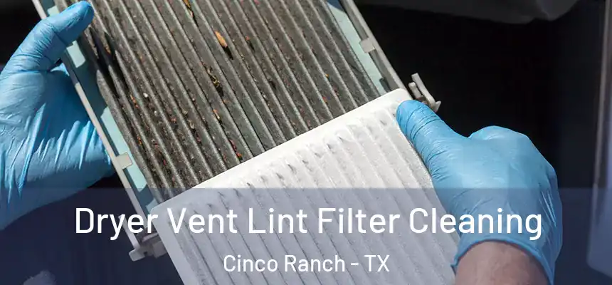  Dryer Vent Lint Filter Cleaning Cinco Ranch - TX