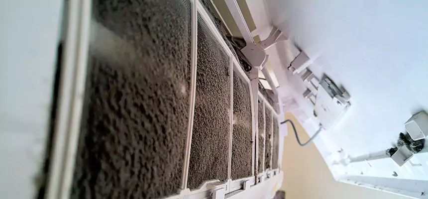 Preventive Air Duct Bacteria Removal in Cinco Ranch