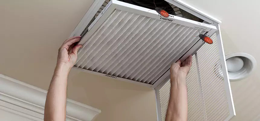 Preventive Cockroach-Proofing for Ducts in Cinco Ranch