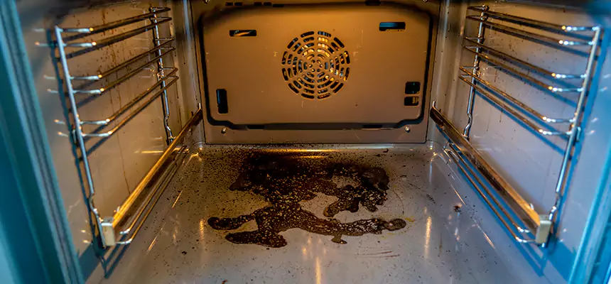 Our Dryer Vent Mold Cleaning Services in Cinco Ranch, TX