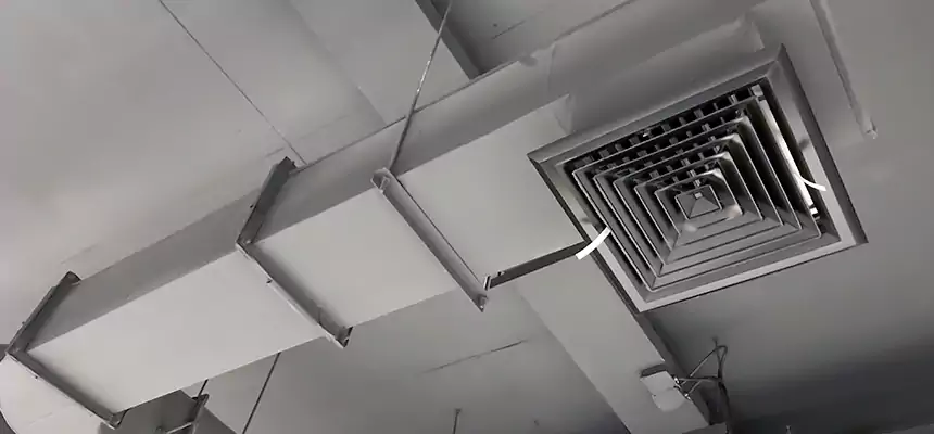 Our Pest Removal From Ducts Services in Cinco Ranch, TX