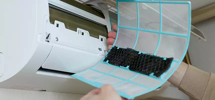 Gentle Ductwork Odor-Control Pet Dander Duct Cleaning in Cinco Ranch, TX