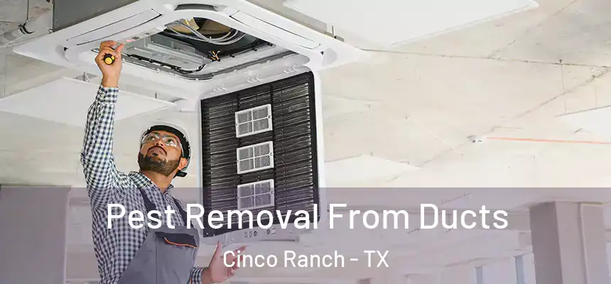  Pest Removal From Ducts Cinco Ranch - TX
