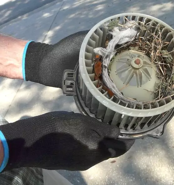 About Air Duct Rat Removal in Cinco Ranch, TX