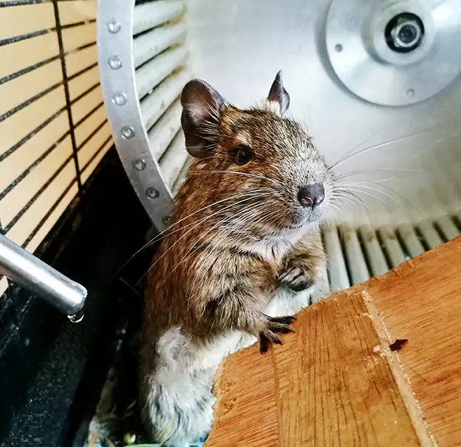 Why Homeowners & Businesses Trust Us Cinco Ranch, TX?