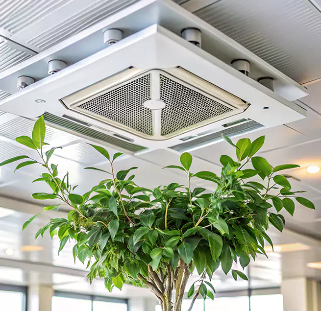 Why Homeowners & Businesses Trust Us in Cinco Ranch, TX